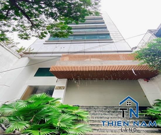 Cho thuê Tòa Nhà MT Nguyễn Cư Trinh, Phường Nguyễn Cư Trinh, Quận 1 - 400 triệu