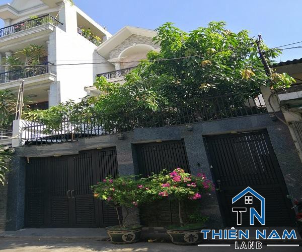 Biệt thự cho thuê đường Nguyễn Thái Bình, Phường 12, Quận Tân Bình